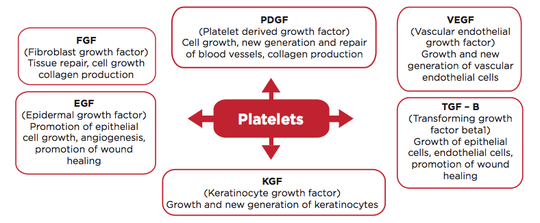 growth-factors.png